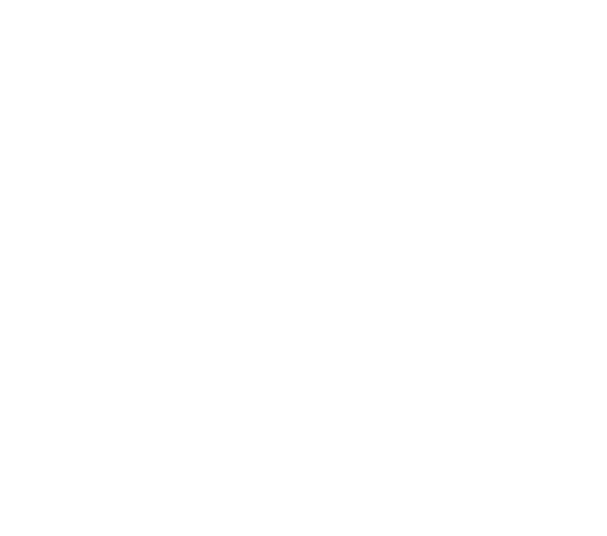 H+ Professional